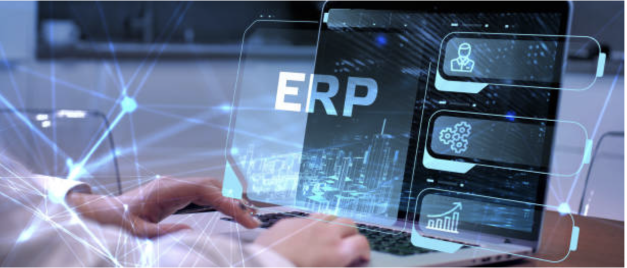 Why Small Businesses Need ERP Software
