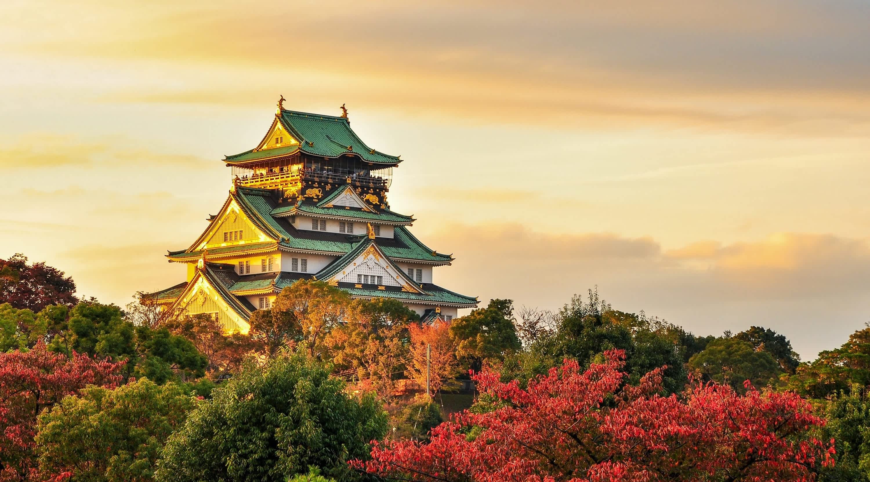 Complete Itinerary Package to Tokyo & Osaka 8 Days 5 Nights