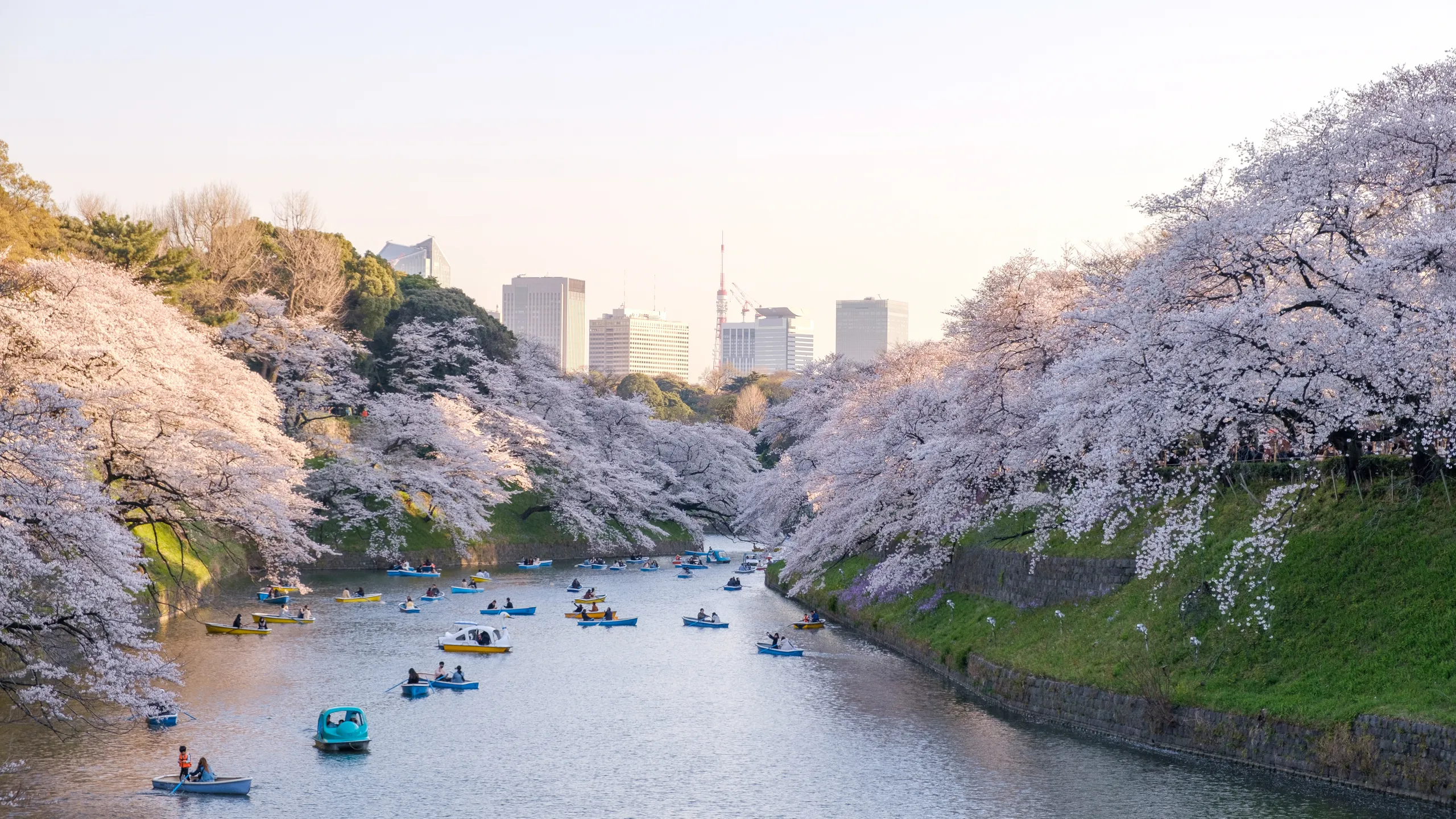 Tokyo River