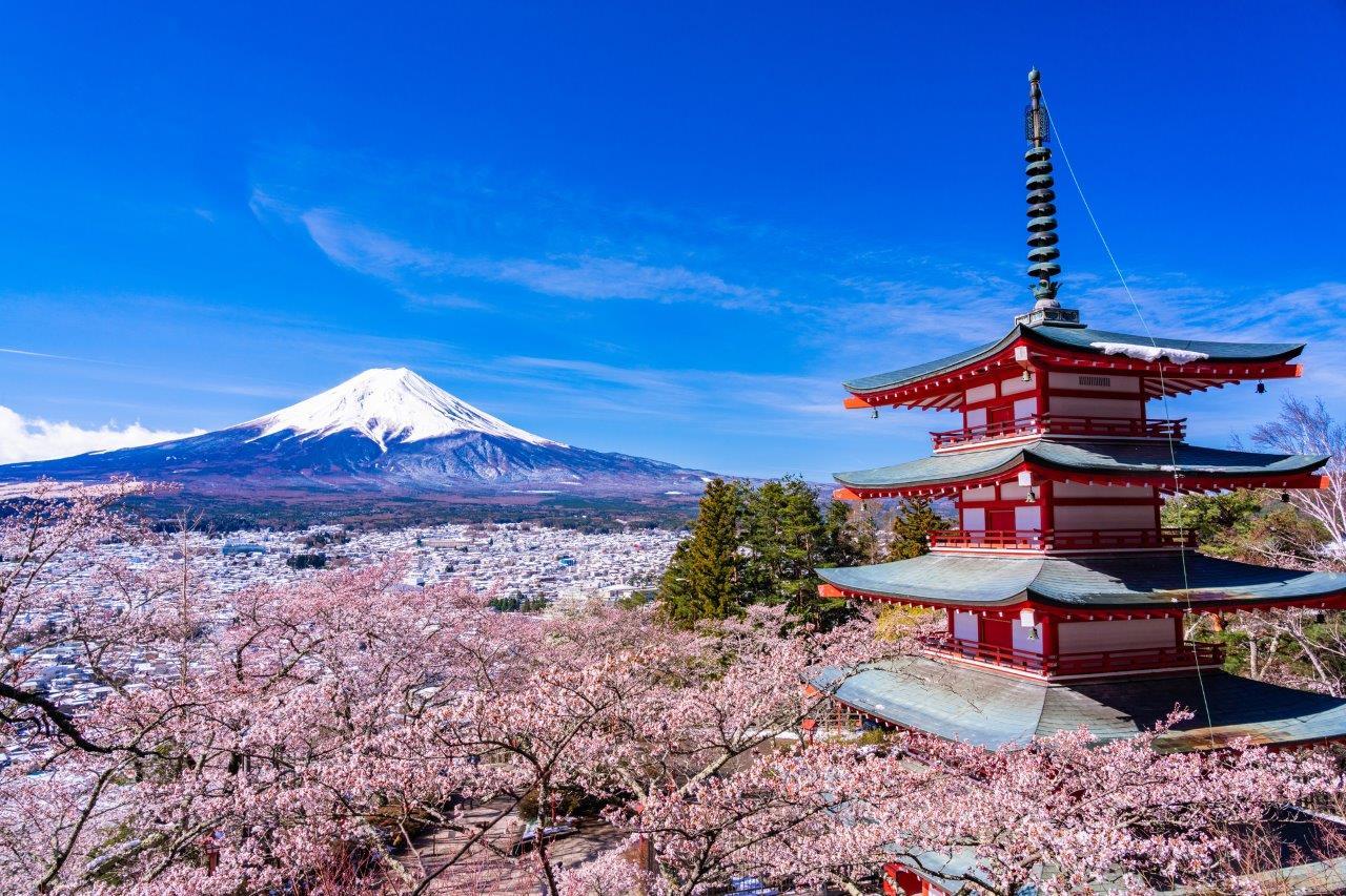 Japan Cherry Blossom 8D6N