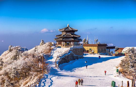 Korea Winter Wonderland 7D5N