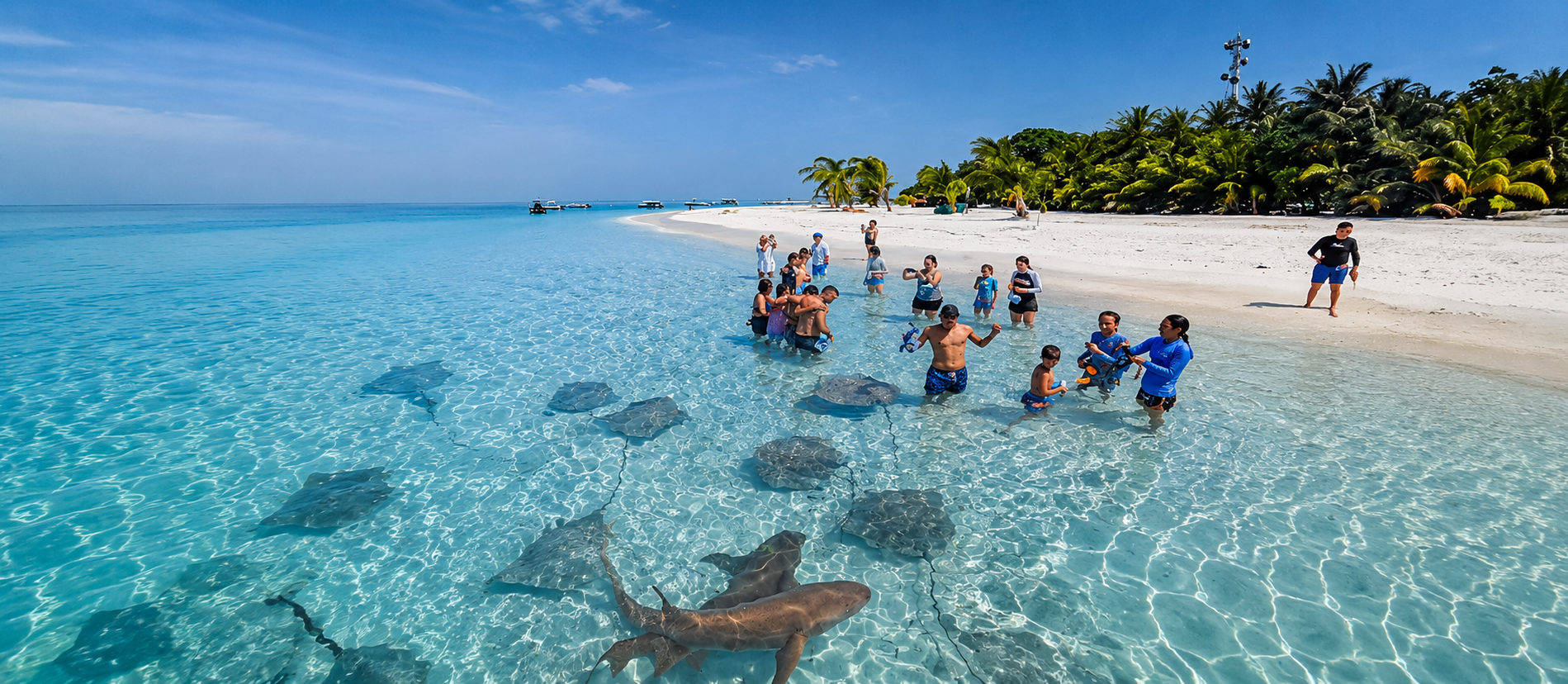 Maldives , Male