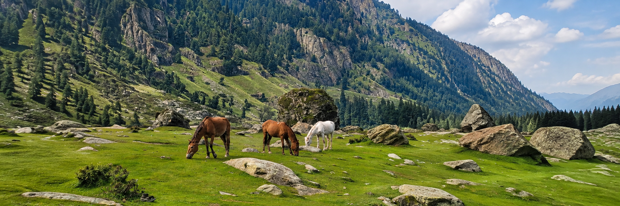 Kashmir , India