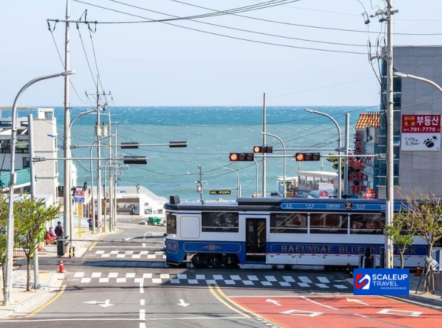 4D3N Busan K-Vibes