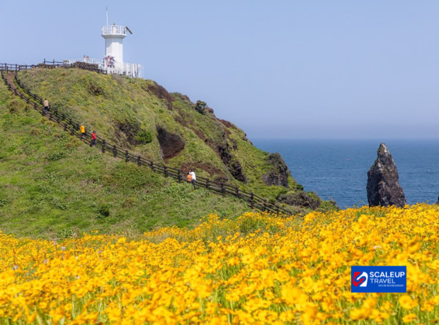 6D4N Korea + Jeju Island