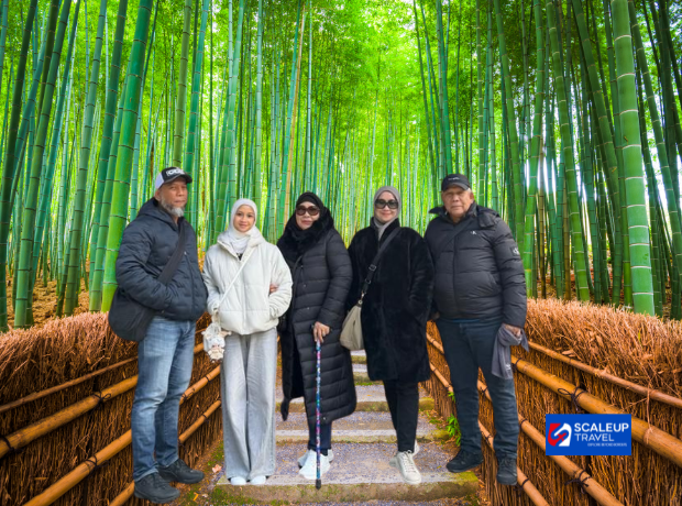 6D4N Osaka & Kyoto FLEX