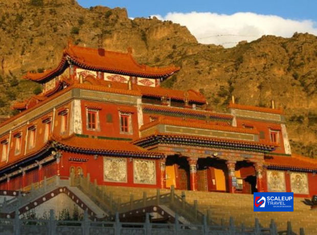 9D7N Inner Mongolia + Ningxia