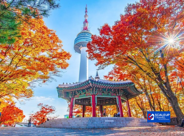 7D4N Korea Saranghaeyo + Brunei