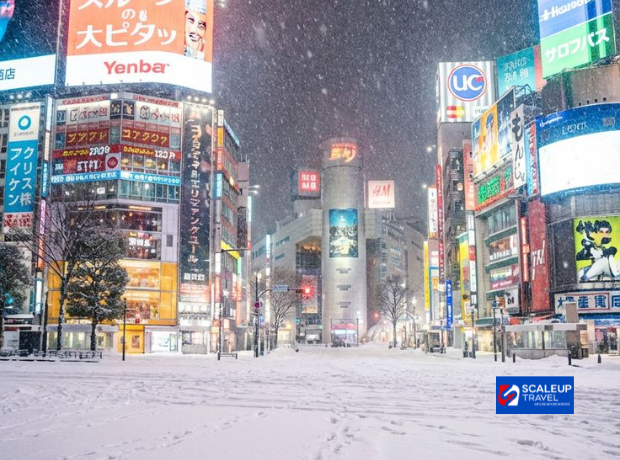 7D4N Tokyo + Mt. Fuji + Snow Resort