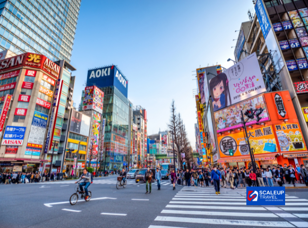 6D4N Tokyo FLEX