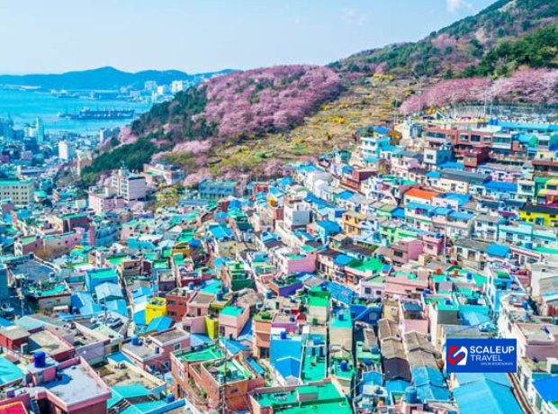 4D3N Busan K-Vibes
