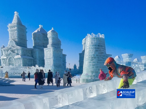 7D6N Harbin Ice Festival