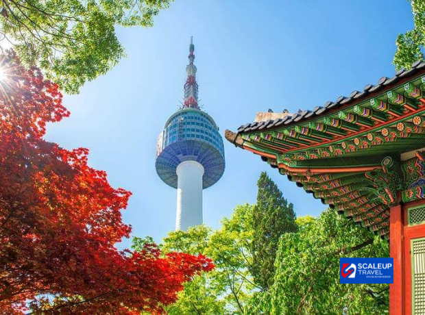 6D4N Korea + Busan (Bullet Train) + Daegu