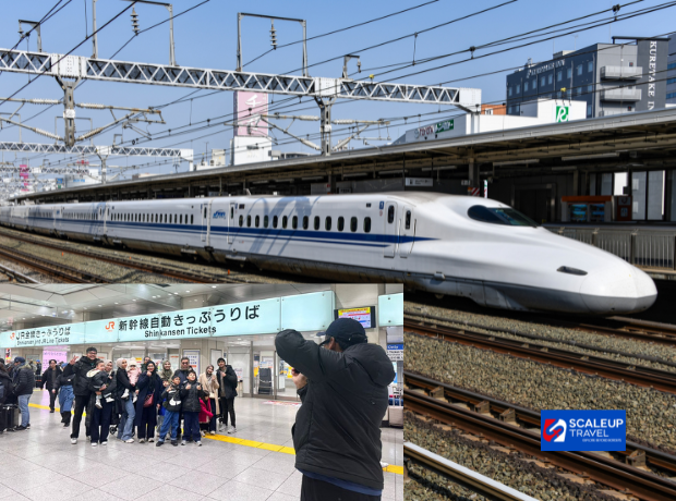 9D/8D6N Osaka + Kyoto + Mt. Fuji + Tokyo