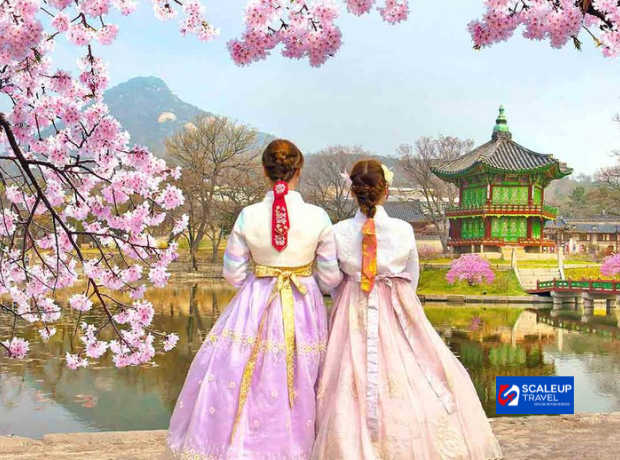 6D4N Korea FLEX
