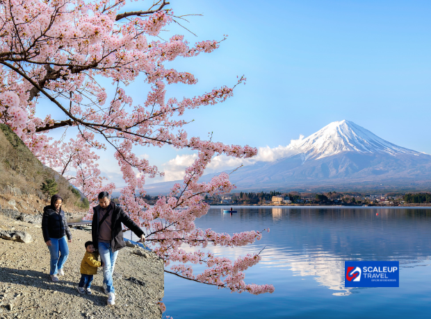 7D4N Tokyo + Mt. Fuji + Snow Resort