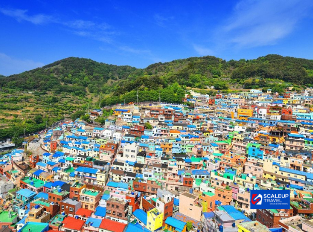 6D4N Korea + Busan (Bullet Train) + Daegu