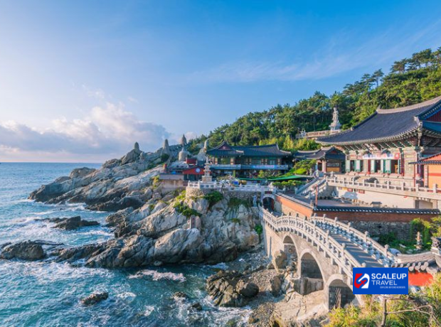 4D3N Busan K-Vibes