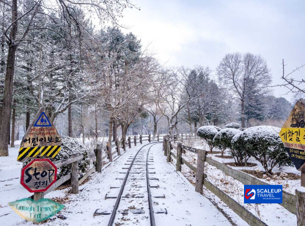 6D4N Korea Saranghaeyo Winter