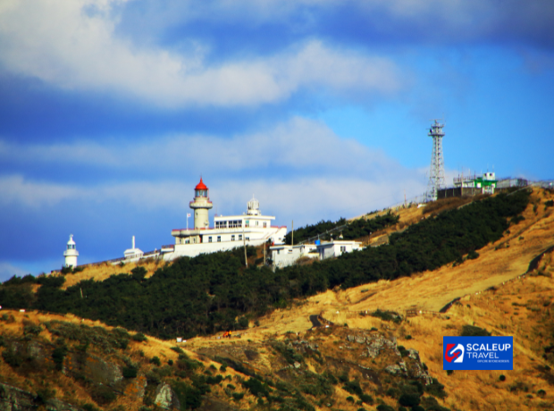 6D4N Jeju & Udo Island