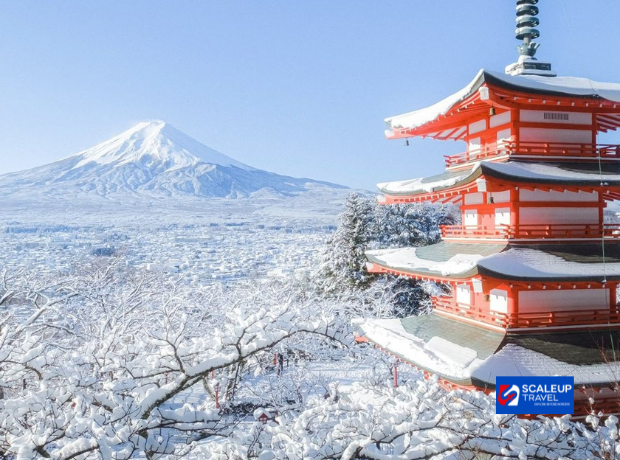 7D4N Tokyo + Mt. Fuji + Snow Resort