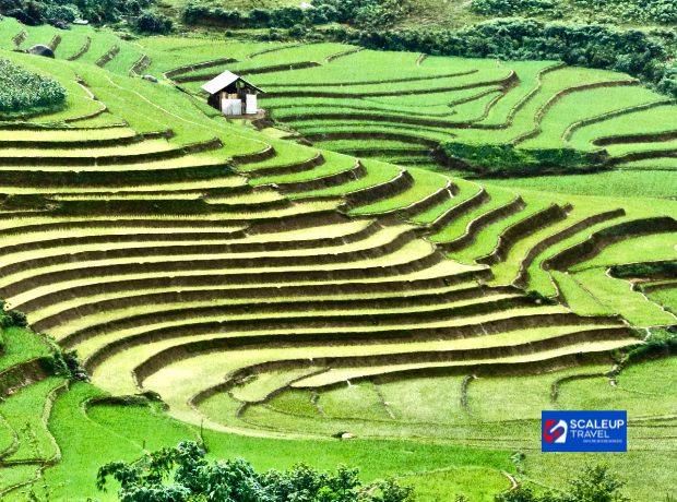 5D4N Hanoi + Sapa + Mount Fansipan