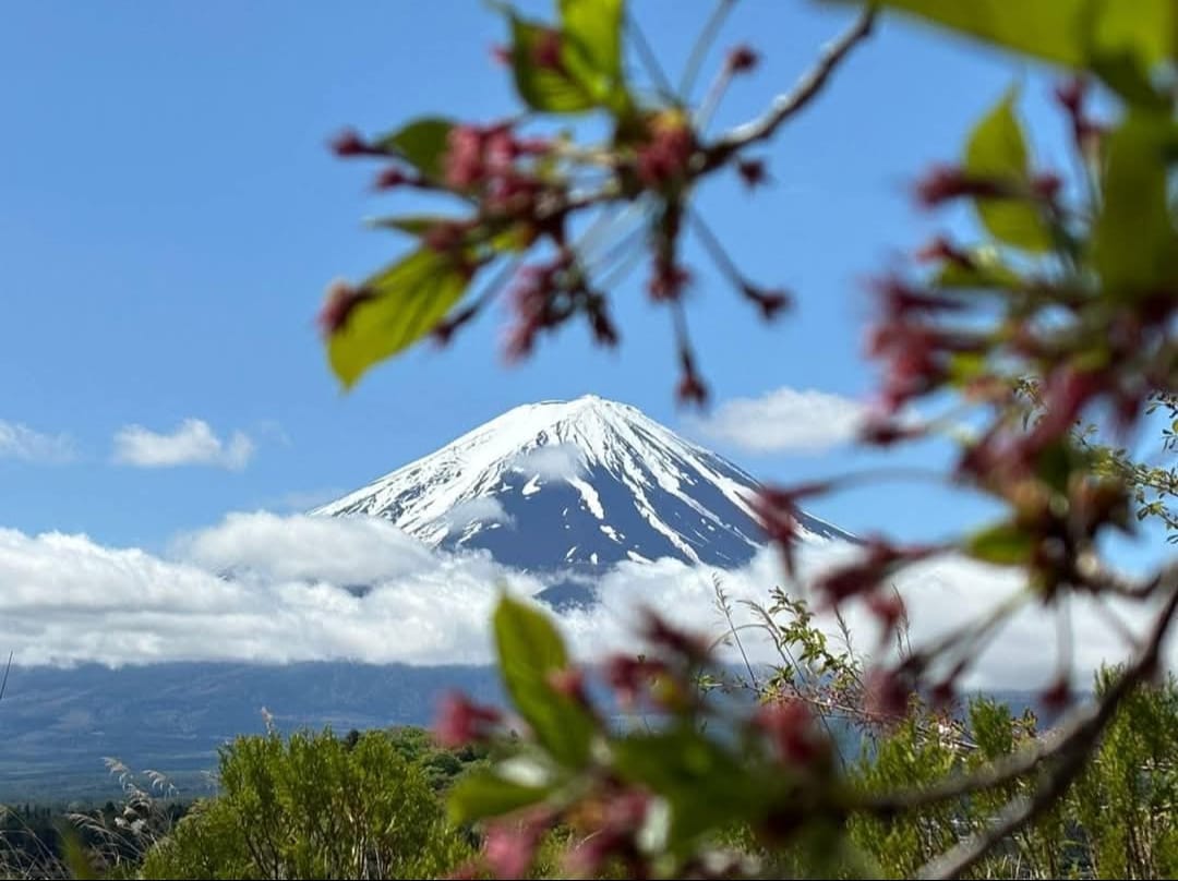 JAPAN GOLDEN ROUTE