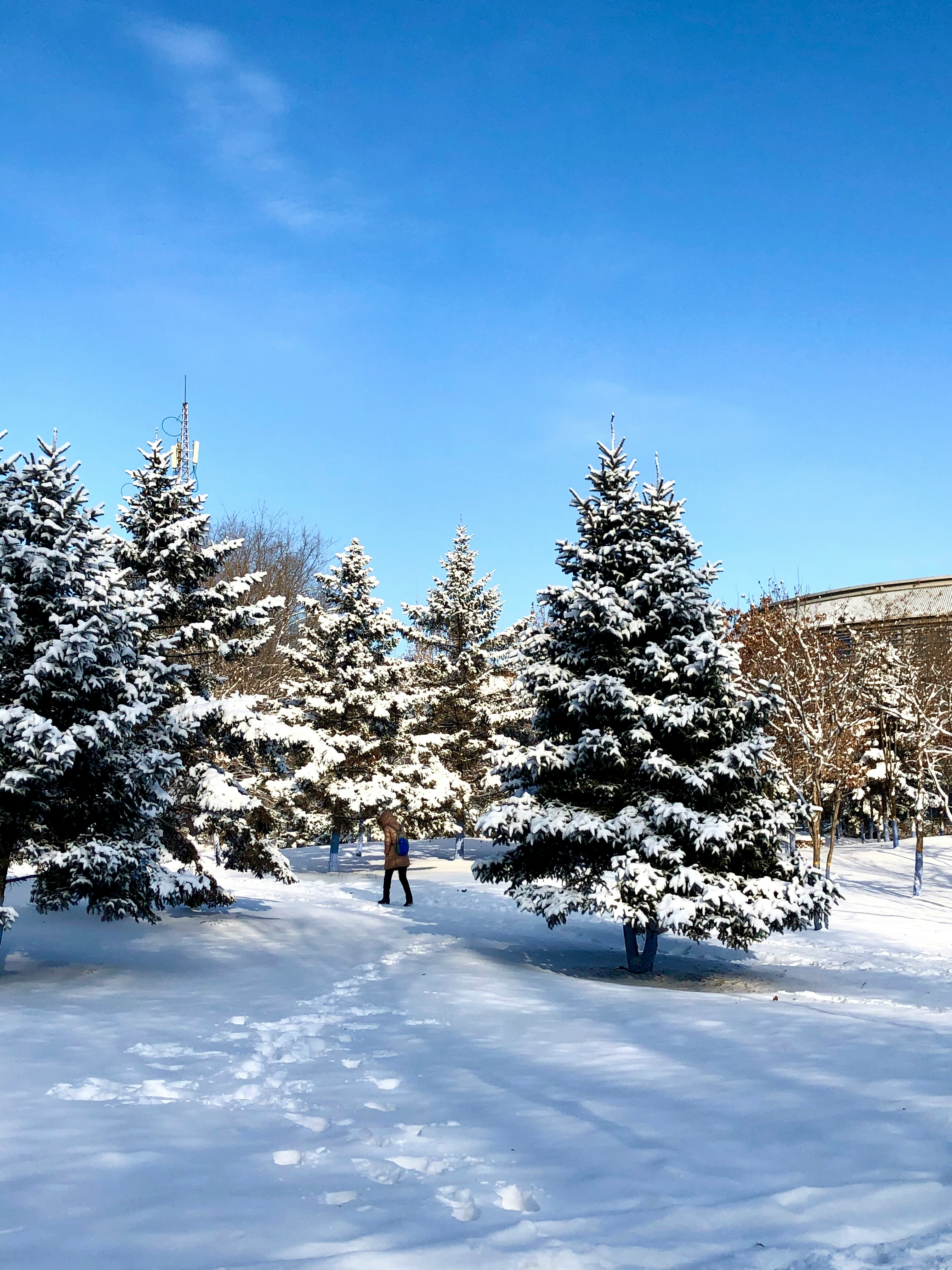 CHINA HARBIN WINTER ADVENTURE
