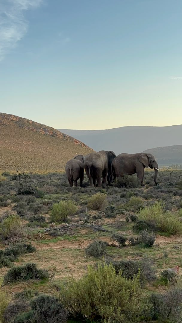SOUTH AFRICA