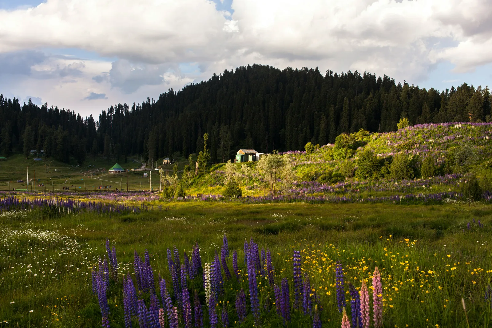 INDIA KASHMIR