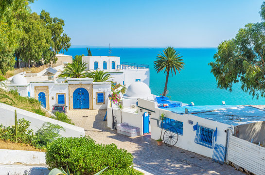 ALGERIA TUNISIA
