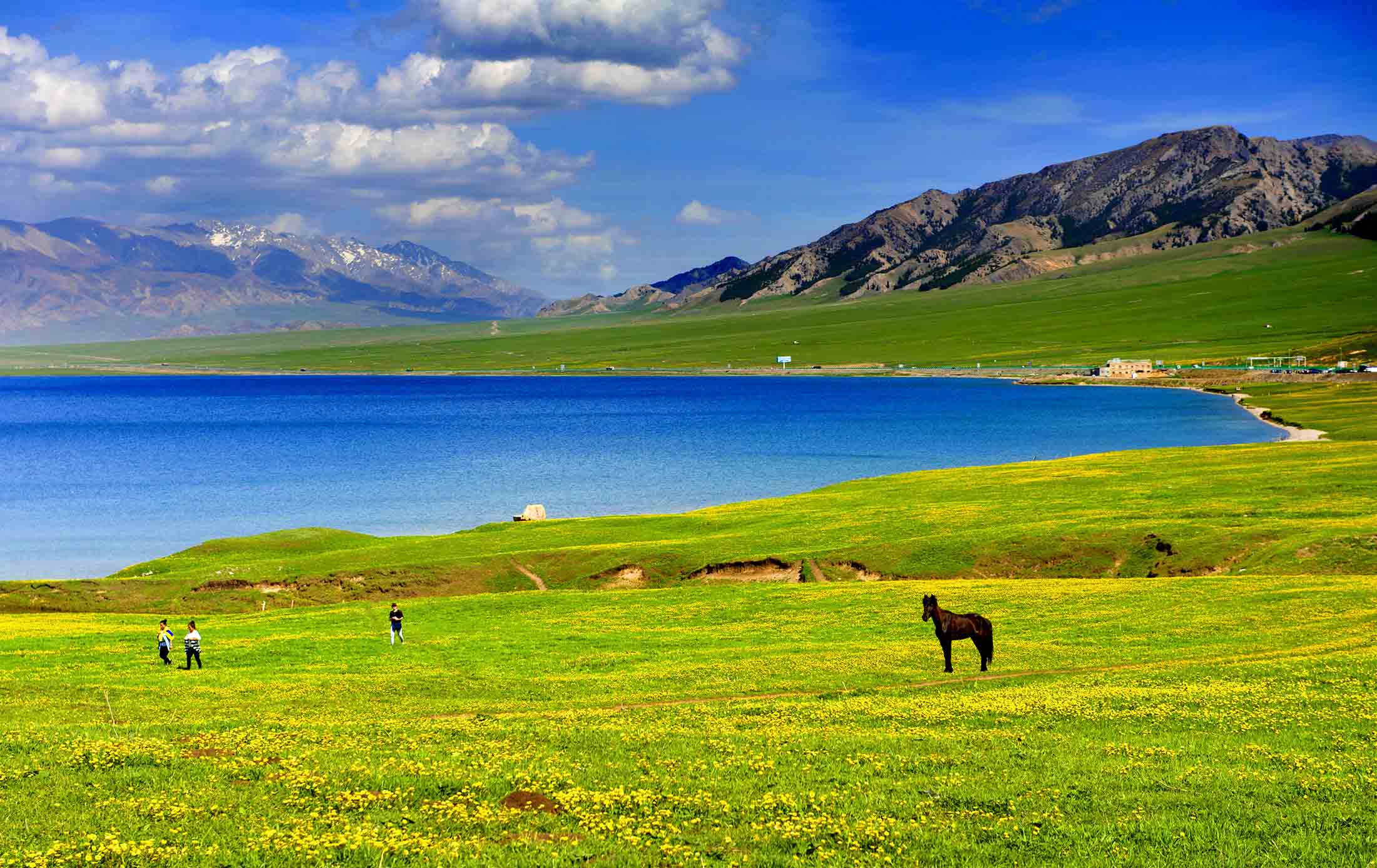 北疆童话 独库风光 NORTHERN XINJIANG FAIRY TALE DUKU SCENERY