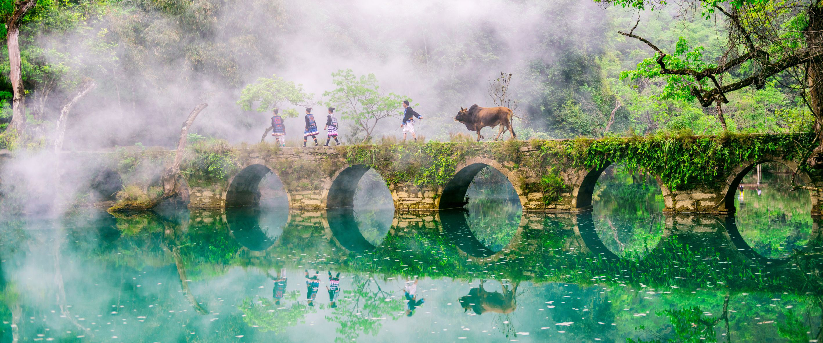 星光同行,多彩贵州 JOURNEY WITH THE STARS, COLORFUL GUIZHOU