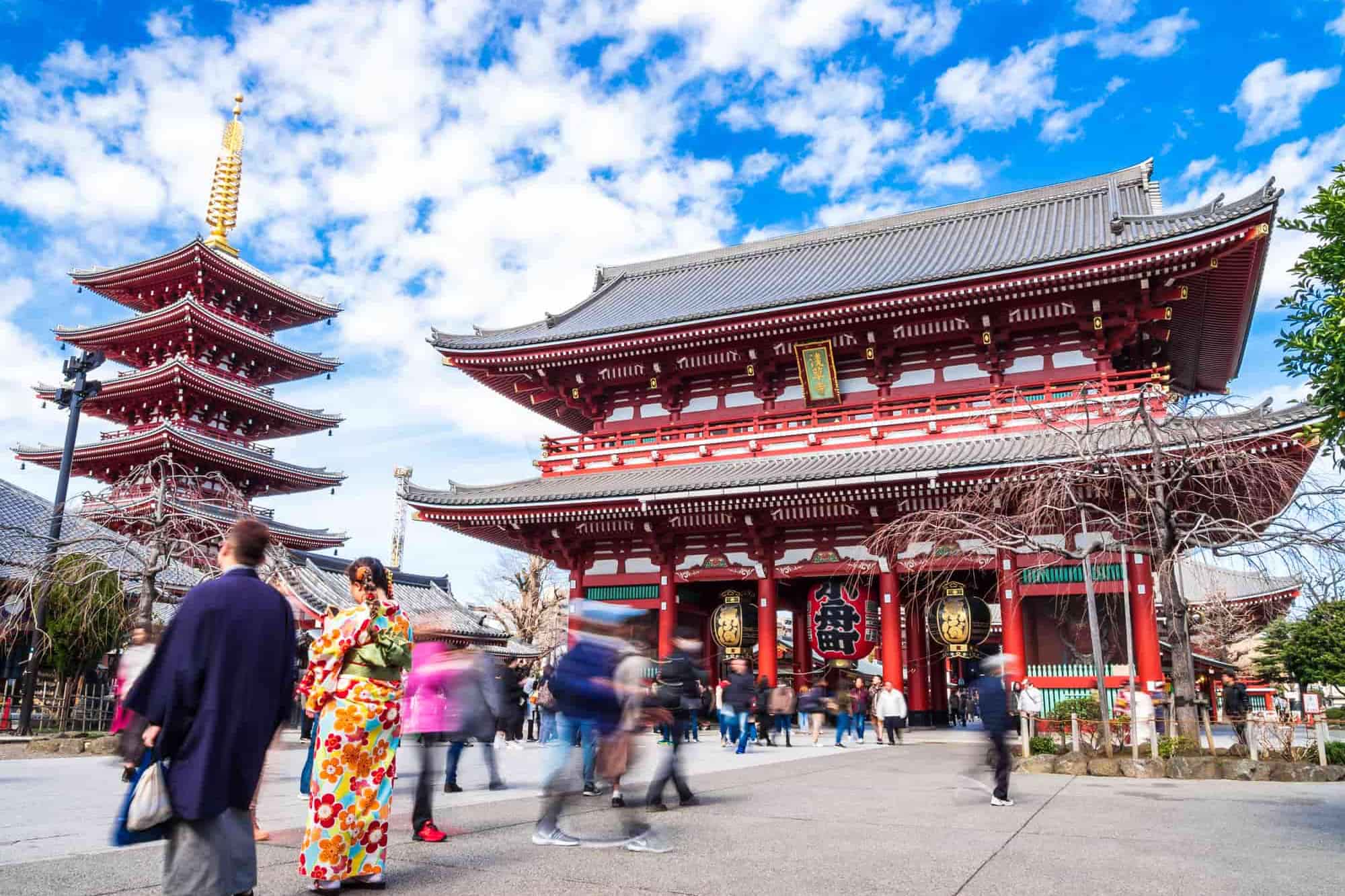 日本雪壁+富士樱花祭 JAPAN ALPINE + FUJI SHIBAZAKURA