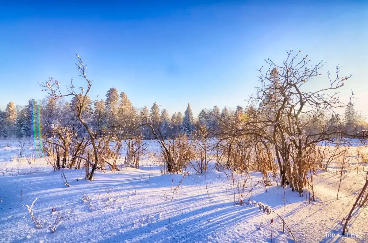 哈尔滨 冰雪欢乐颂 HARBIN ODE TO ICE AND SNOW