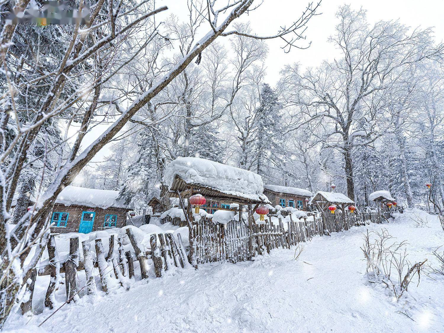 哈尔滨 冰雪欢乐颂 HARBIN ODE TO ICE AND SNOW