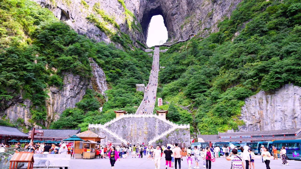茶香花海+张家界 TEA COUNTRY FLOWER SEA + ZHANGJIAJIE