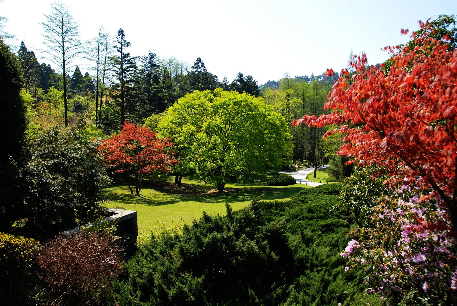 诗画江西·庐山龙虎山 EXPLORE THE BEAUTY OF JIANGXI LUSHAN & LONGHU MOUNTAIN