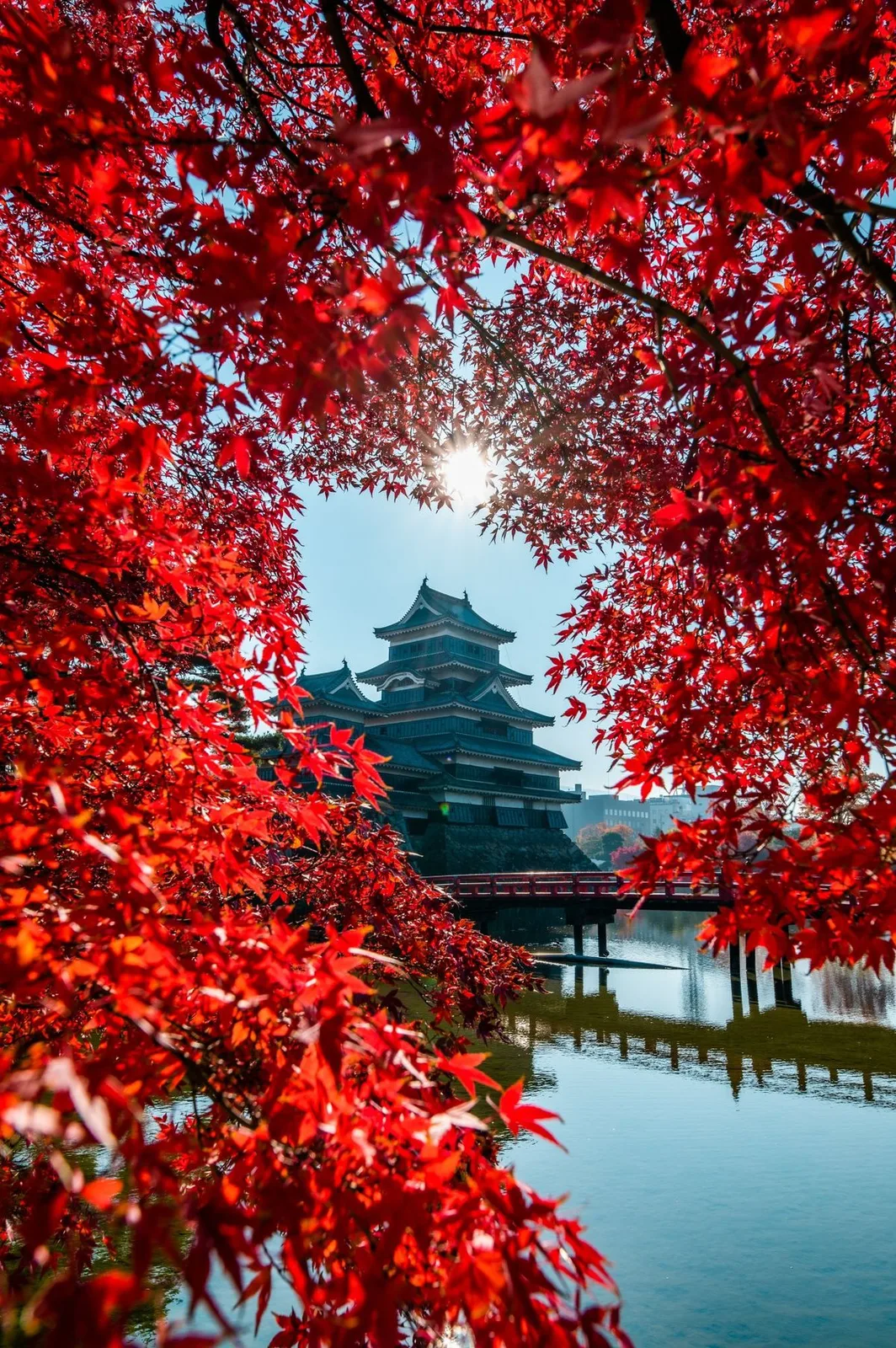 日本四国: 晴天之国 JAPAN SHIKOKU: THE LAND OF SUNSHINE