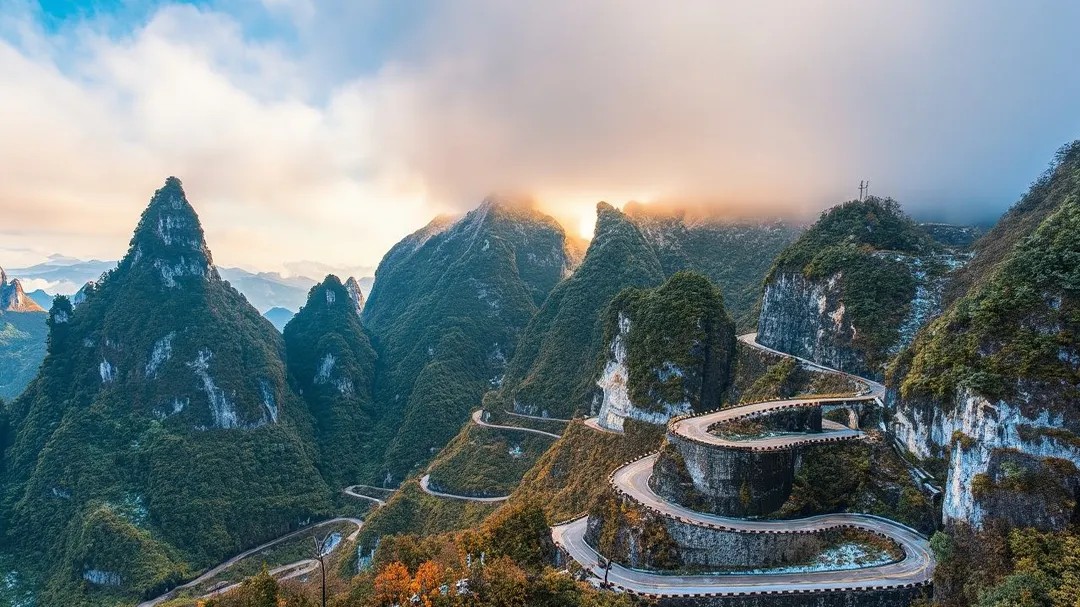 茶香花海+张家界 TEA COUNTRY FLOWER SEA + ZHANGJIAJIE