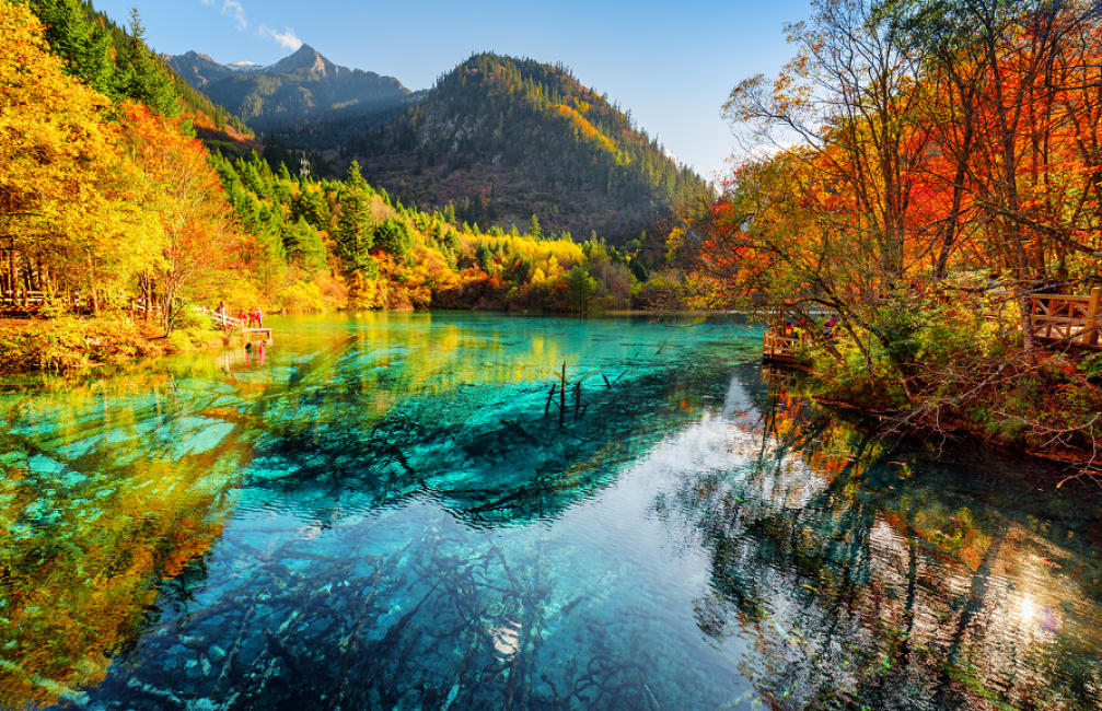天府四川+九寨沟 HEAVEN SICHUAN + JIUZHAI VALLEY