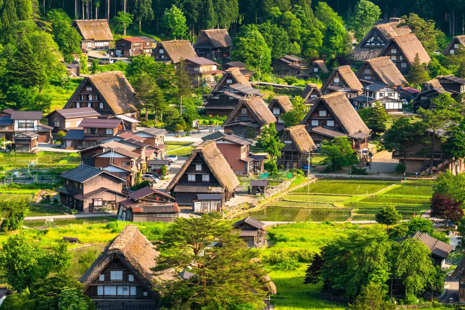 日本雪壁+富士樱花祭 JAPAN ALPINE + FUJI SHIBAZAKURA