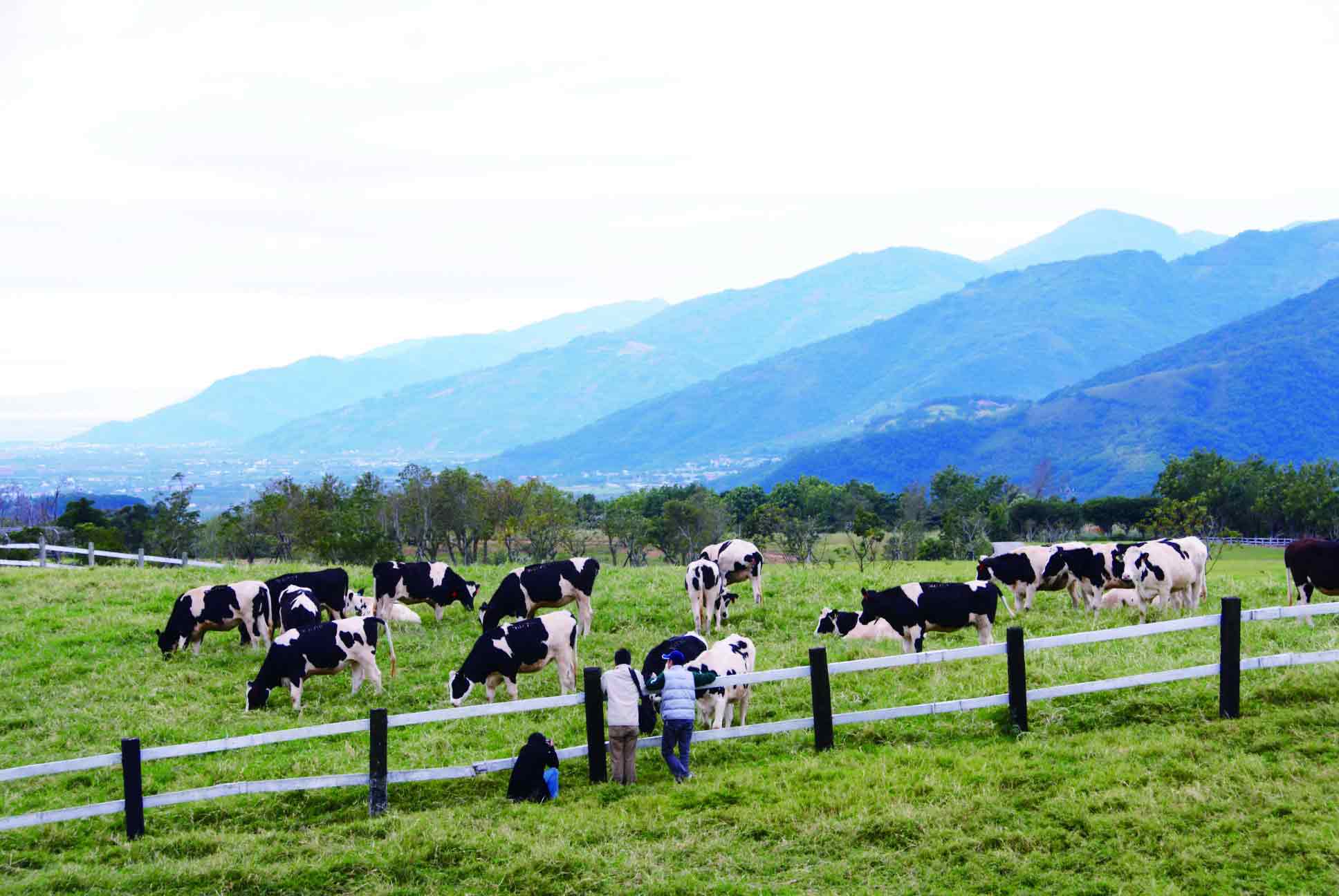 沉浸牧场台湾物语 IMMERSIVE RANCH TAIWAN STORY