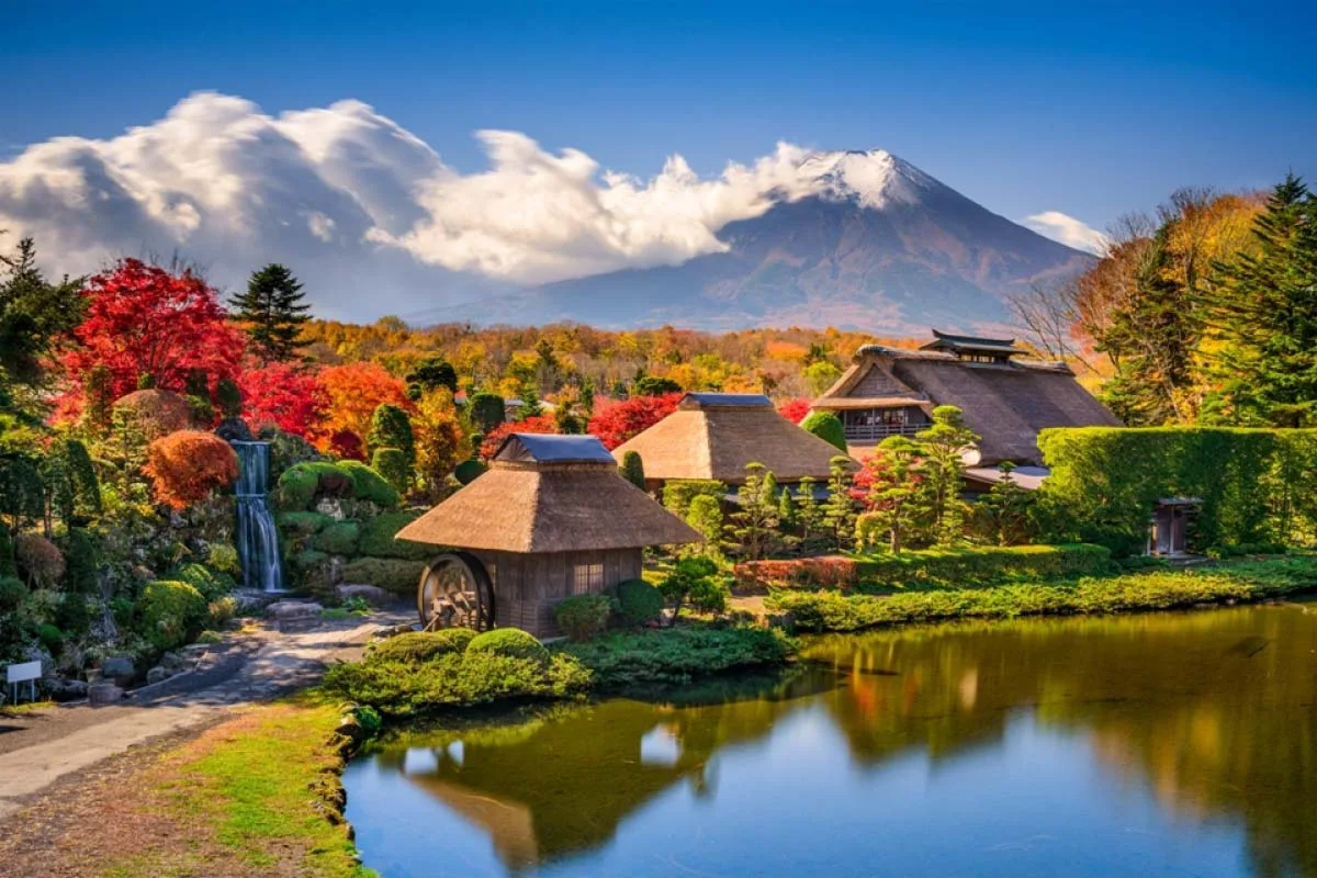 日本雪壁+富士樱花祭 JAPAN ALPINE + FUJI SHIBAZAKURA