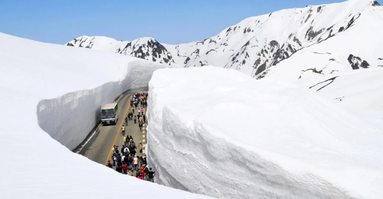 日本雪壁+富士樱花祭 JAPAN ALPINE + FUJI SHIBAZAKURA