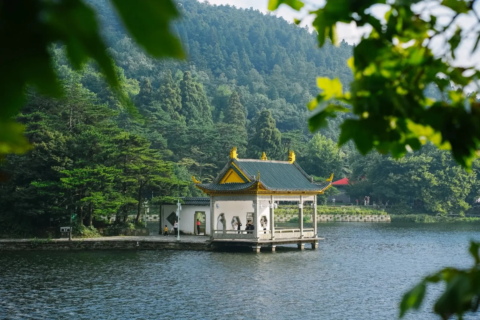 诗画江西·庐山龙虎山 EXPLORE THE BEAUTY OF JIANGXI LUSHAN & LONGHU MOUNTAIN