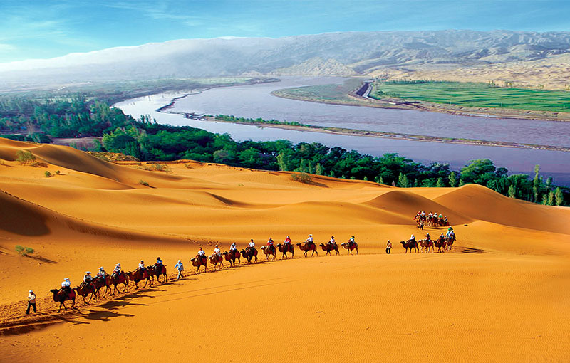 大美宁蒙甘 | 大漠牧歌 MOST BEAUTIFUL NING GAN MENG ODE TO THE DESERT