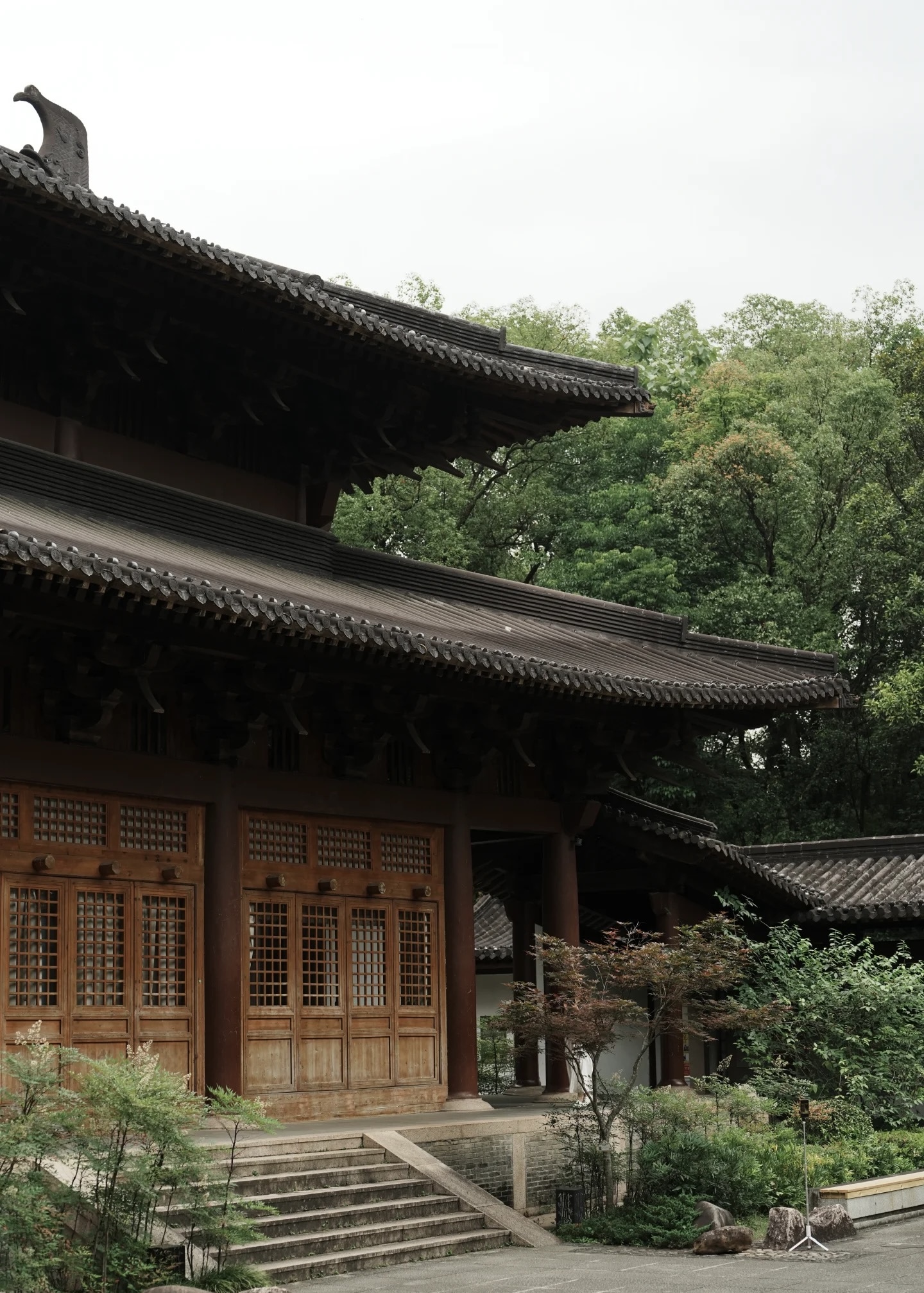 8天6晚 武夷山+舌尖上的福建 (8D6N WUYISHAN & FUJIAN)