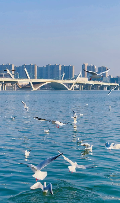 7天5晚 话江南 梦南浔 7D5N DREAMLIKE JIANGNAN+WATERTOWN HOMESTAY