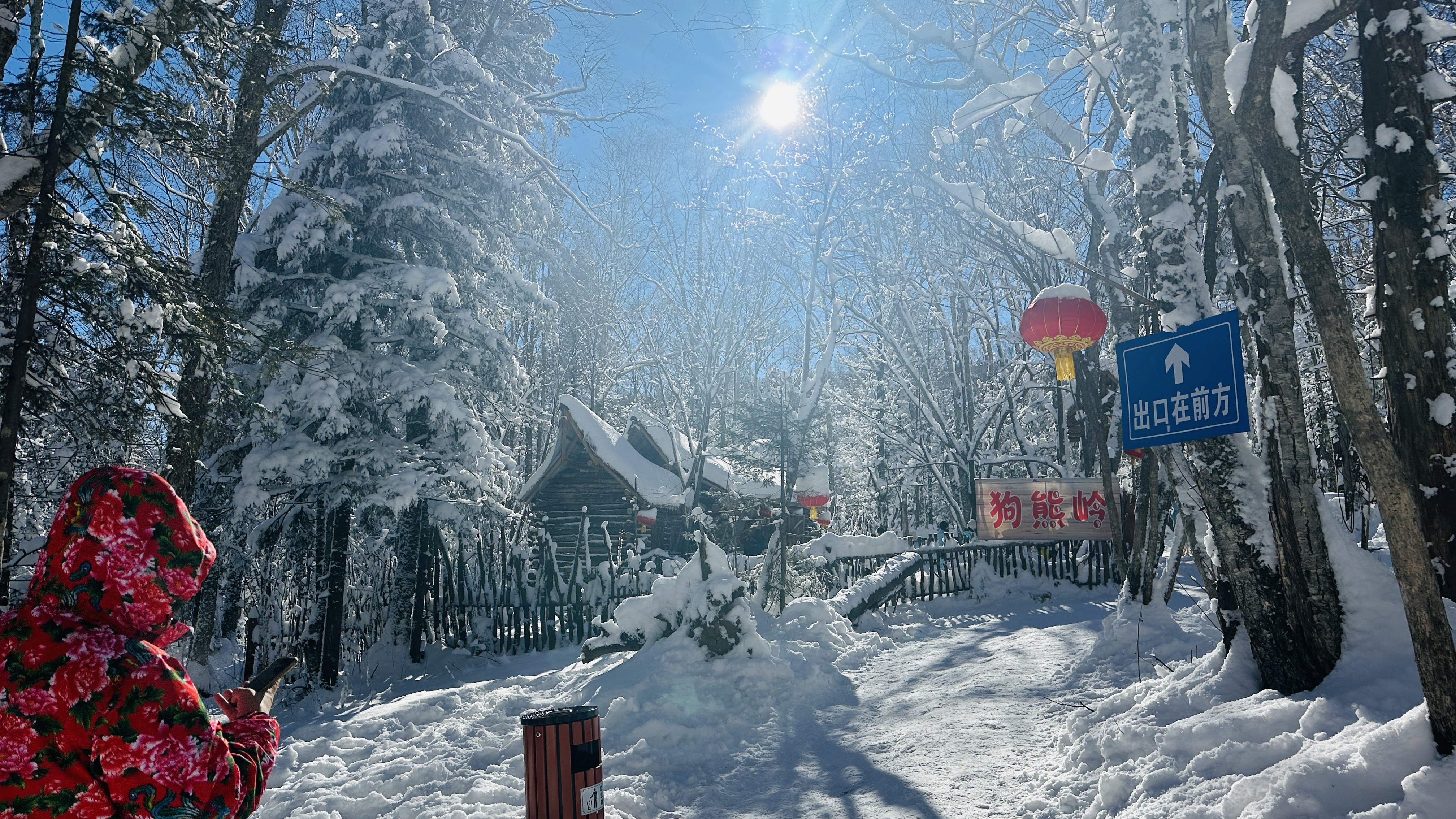 7天5晚 冰雪奇缘 - 哈尔滨 (7D5N HARBIN) - EX KUL